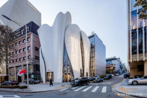  Cheongdam Luxury Fashion Street